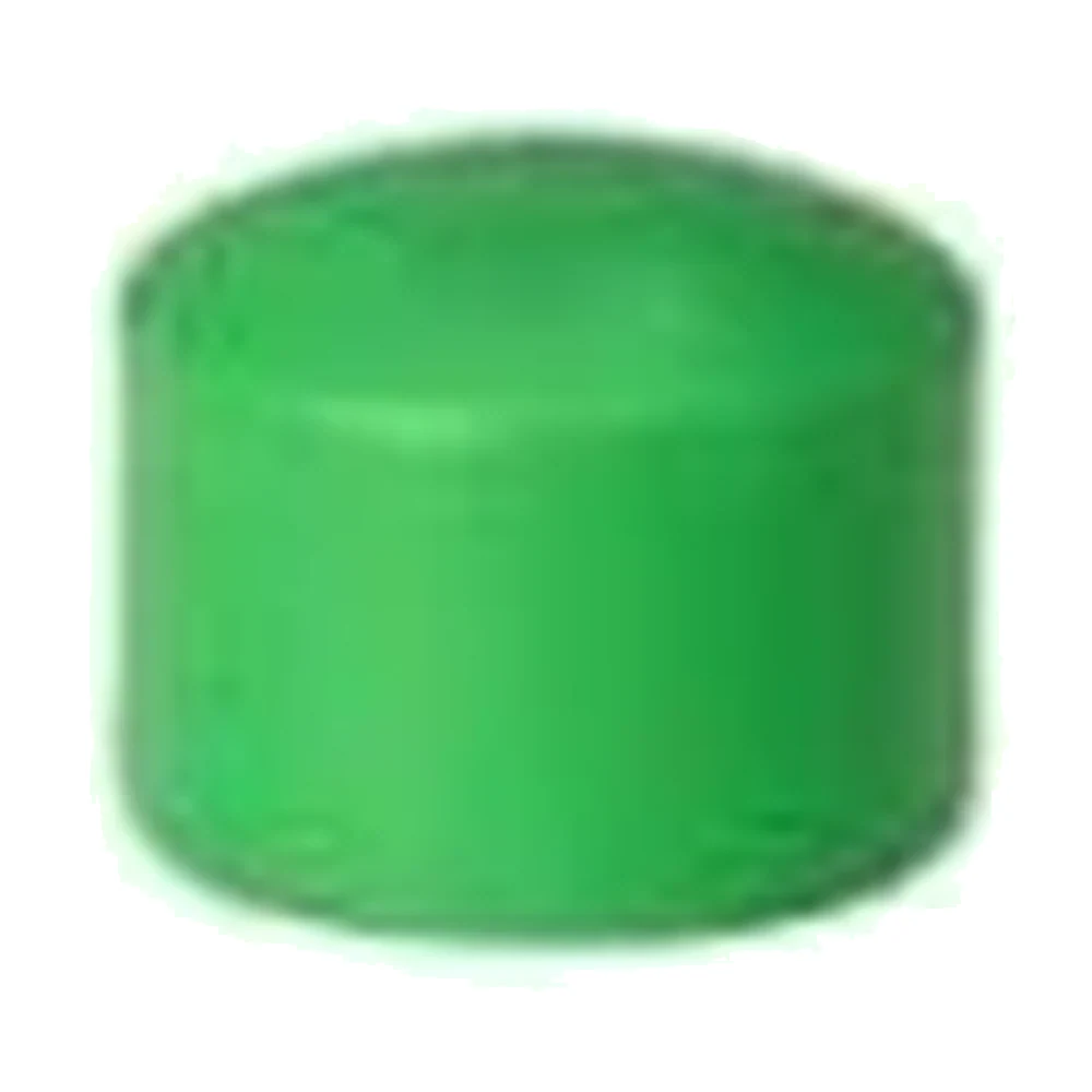 PPR Plug 32mm