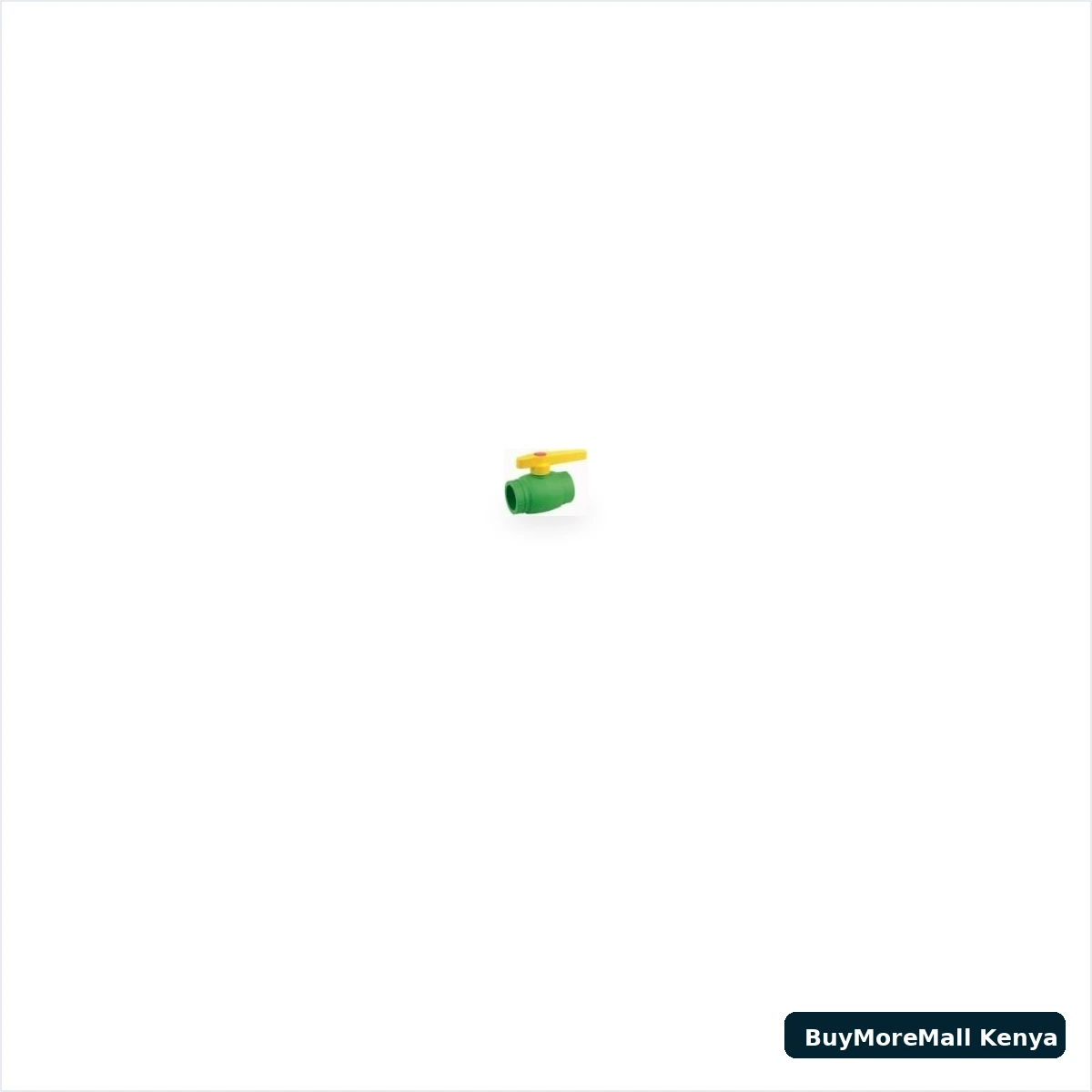 PPR Steel Ball Cork 20mm