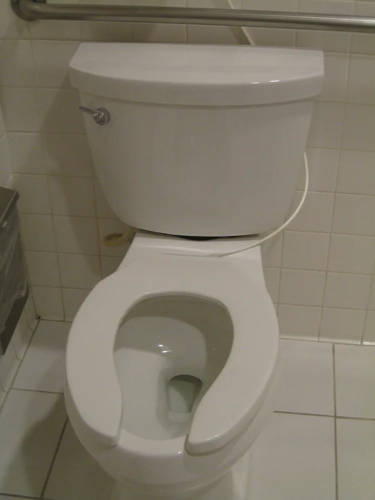 Flush Handle Light