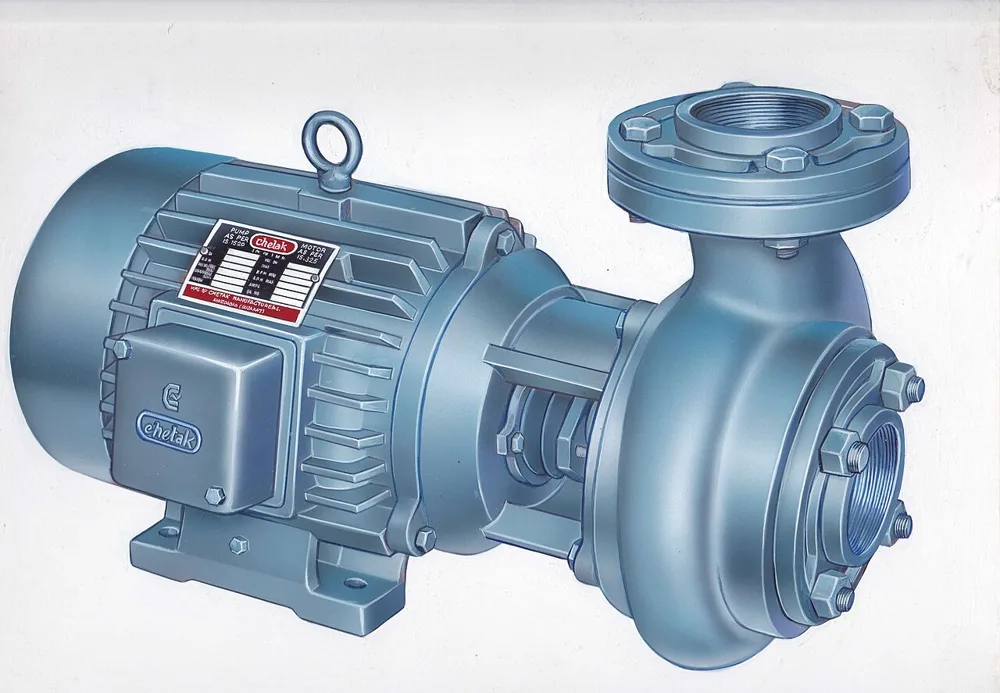 Pedrolla Pump 1