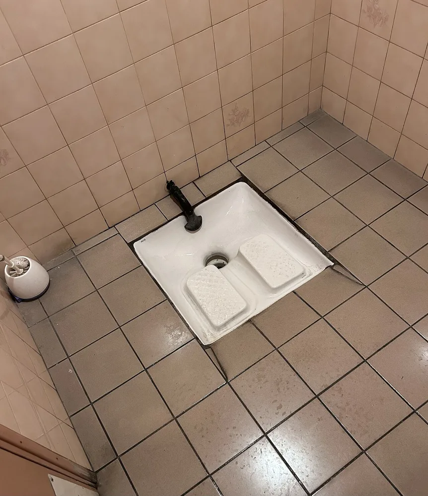 Asian Toilet